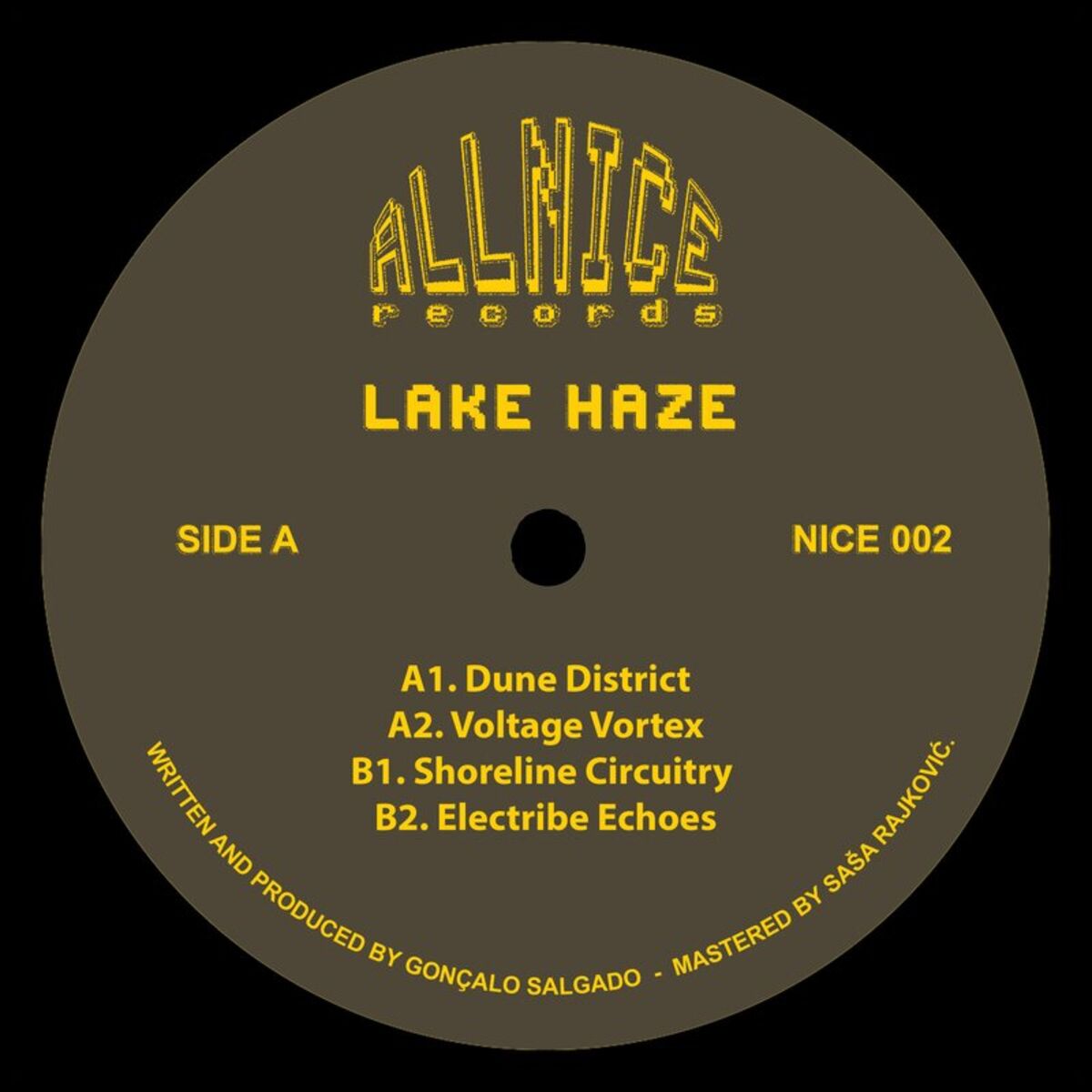 Album cover of Shoreline Circuitry