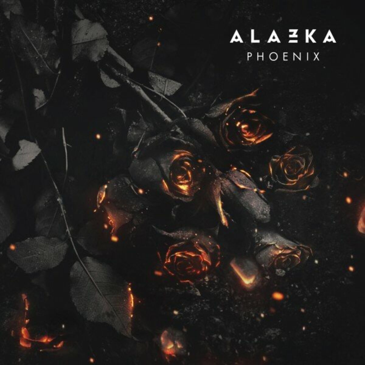 Album cover of Phoenix