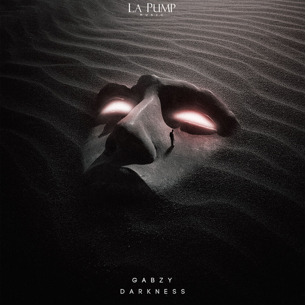 Picture of Darkness (Radio Edit)