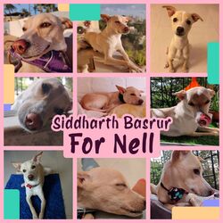 Cover of For Nell