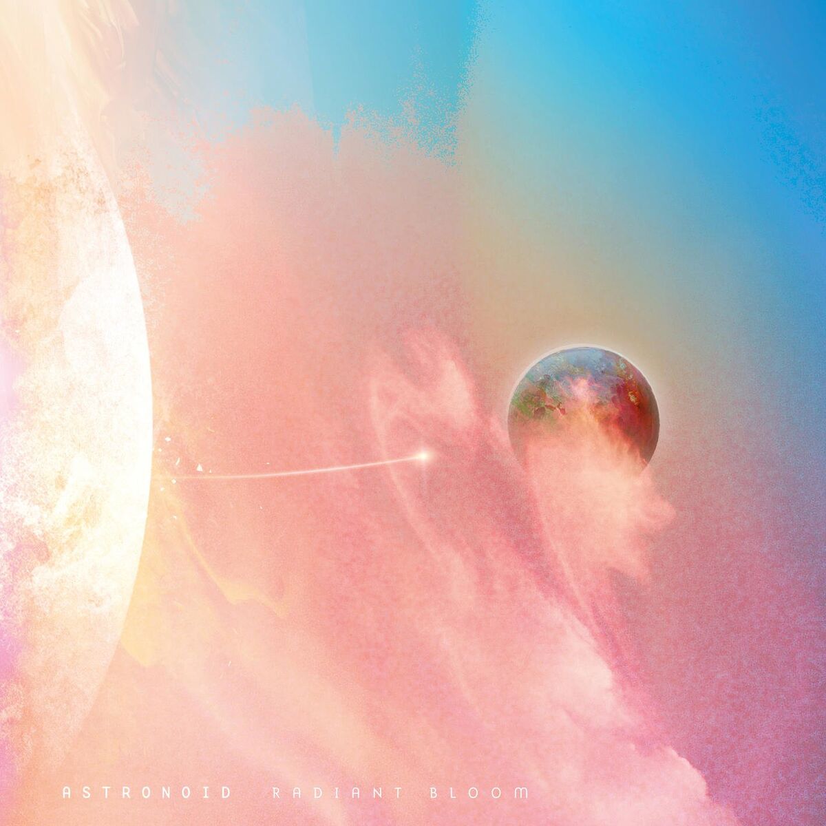 Album cover of Radiant Bloom