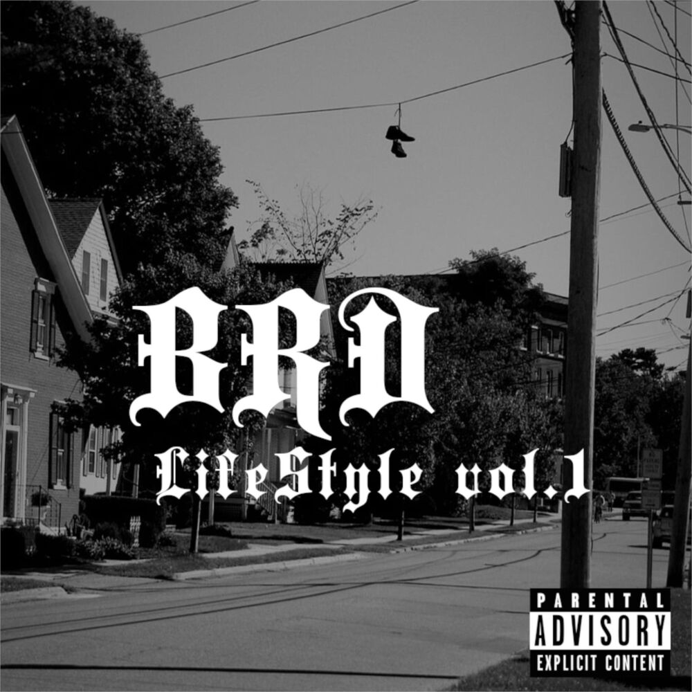 Picture of BRD Lifestyle, Vol. 1