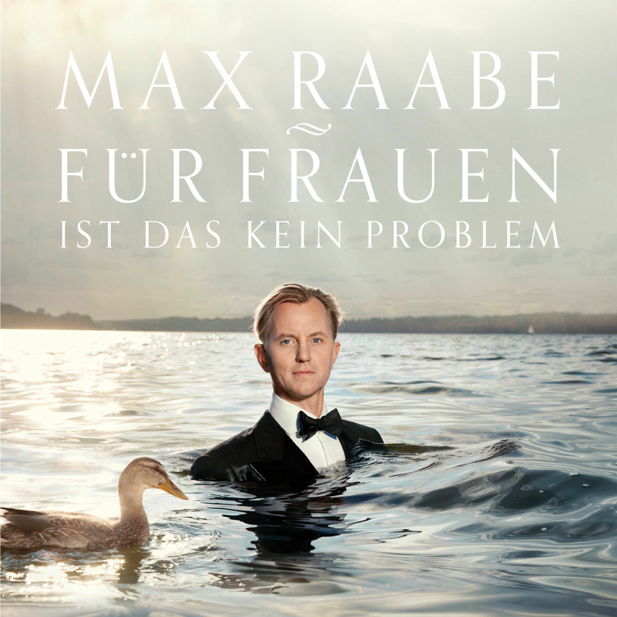Album cover of Als ich Dich wollte
