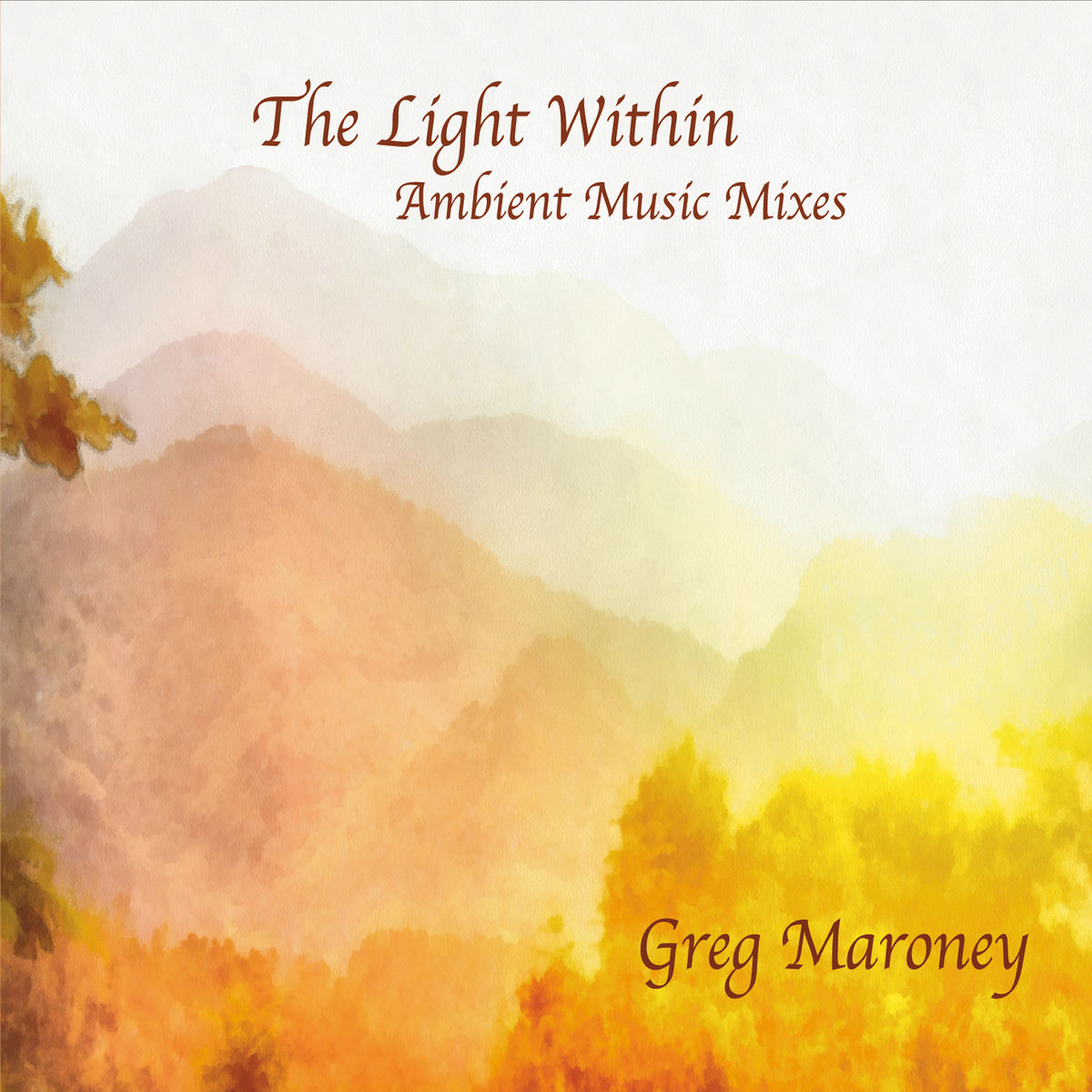 Album cover of The Light Within