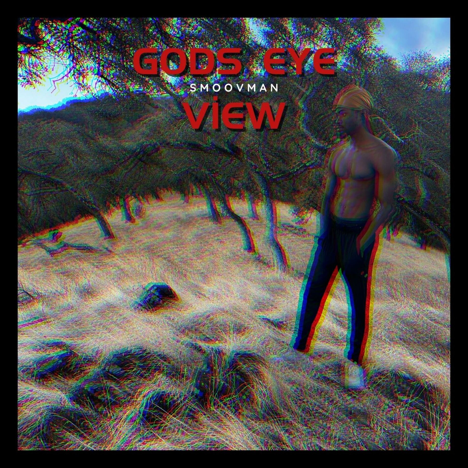 Album cover of God's Eye View