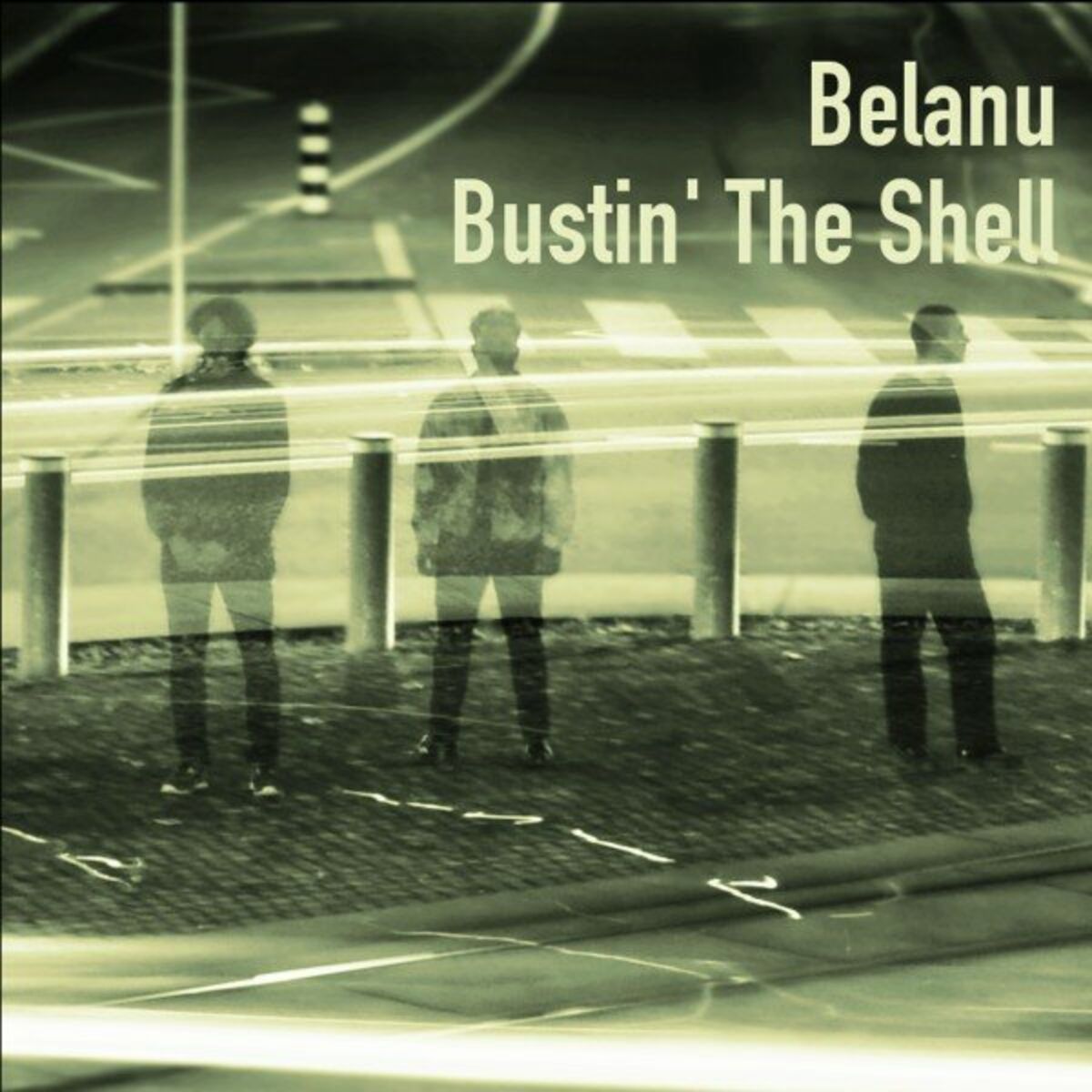 Album cover of Bustin' the Shell