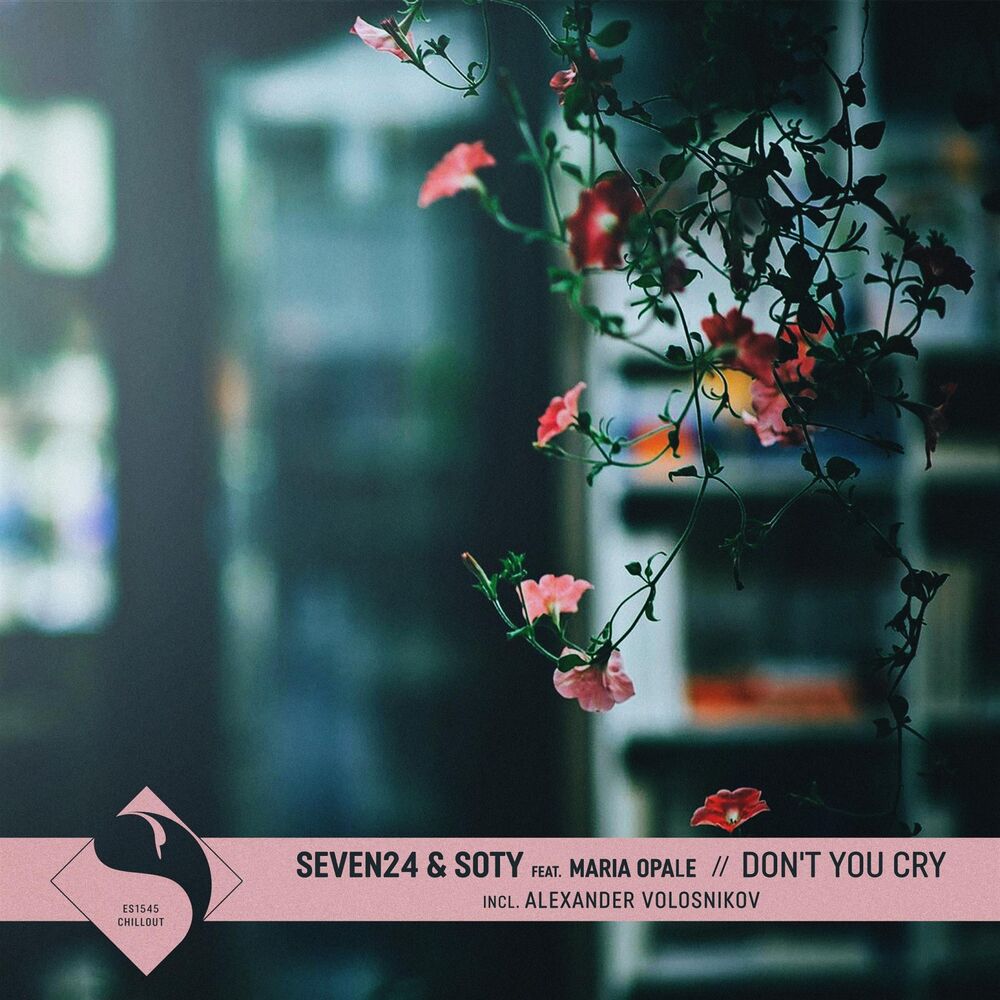 Picture of Don't You Cry (Alexander Volosnikov Remix)