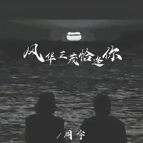 风华正茂恰逢你