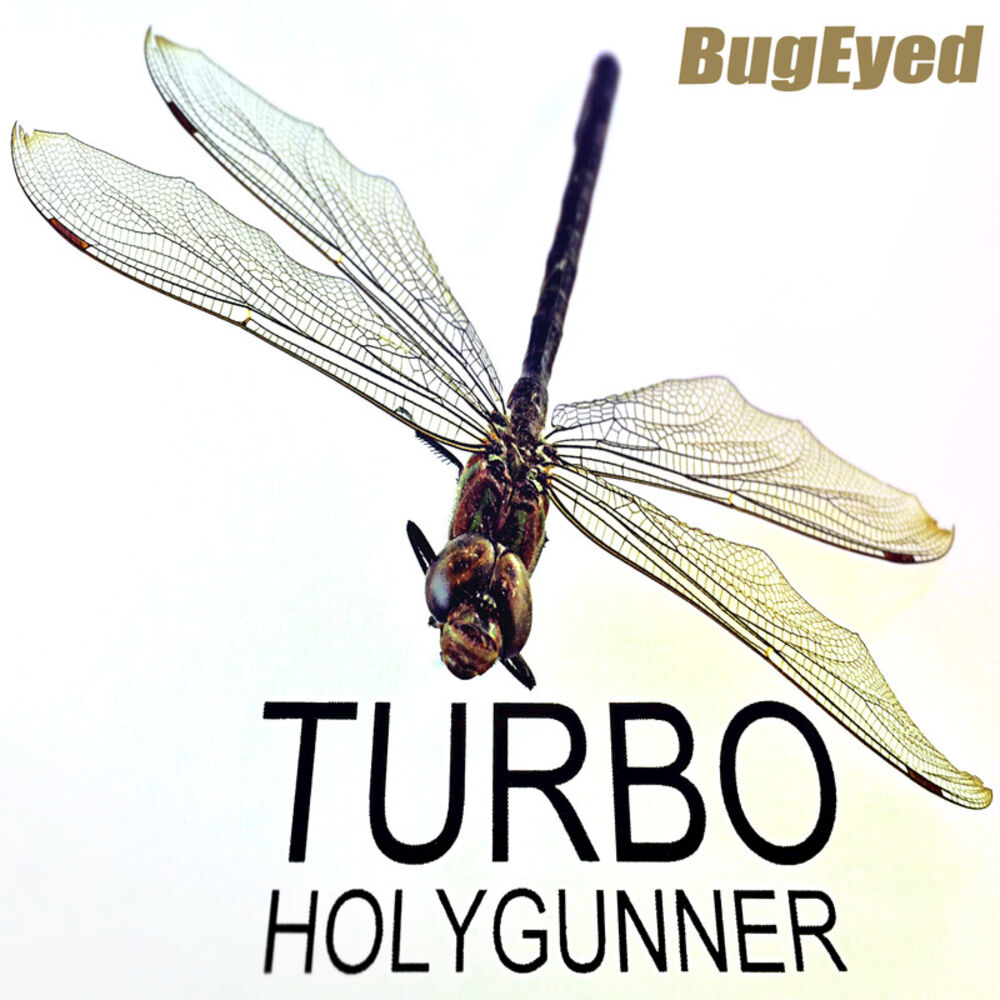 Picture of Turbo