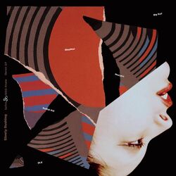 Cover of Slowly Rushing Remix EP