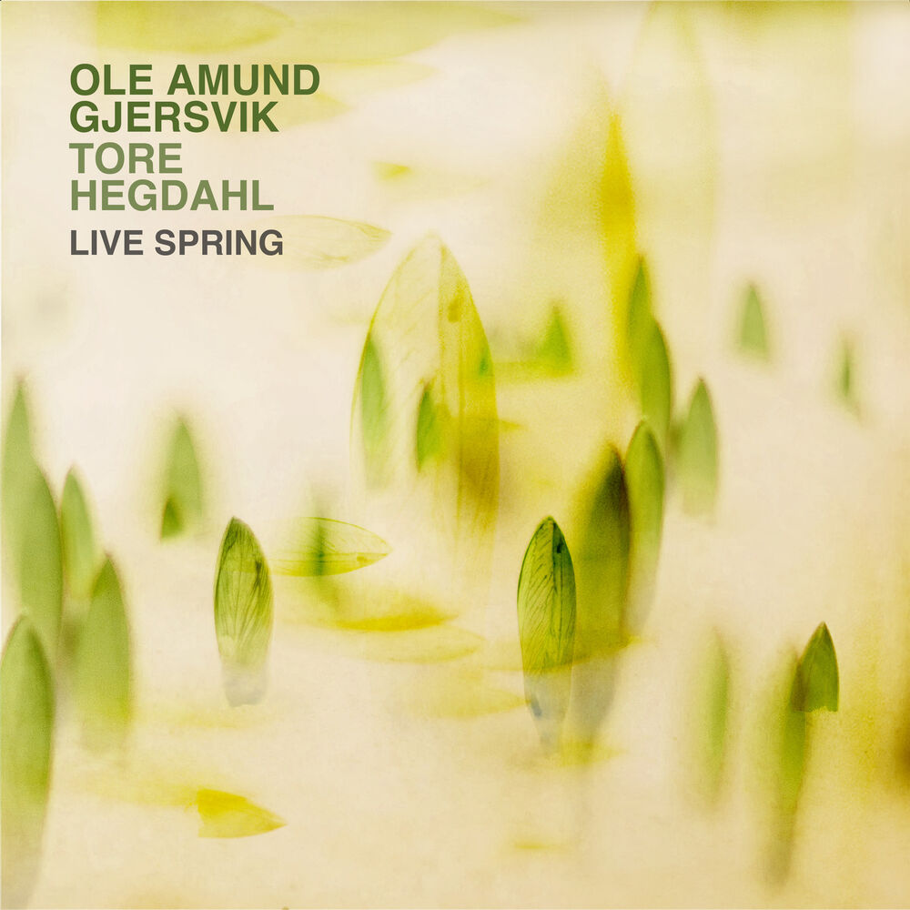 Picture of Live Spring