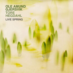 Cover of Live Spring