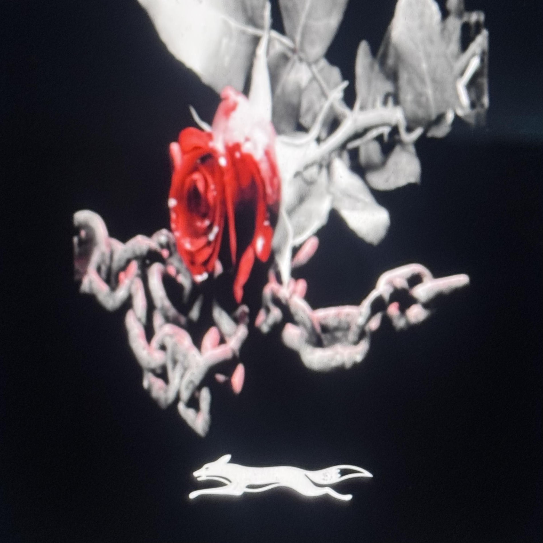 Album cover of decay