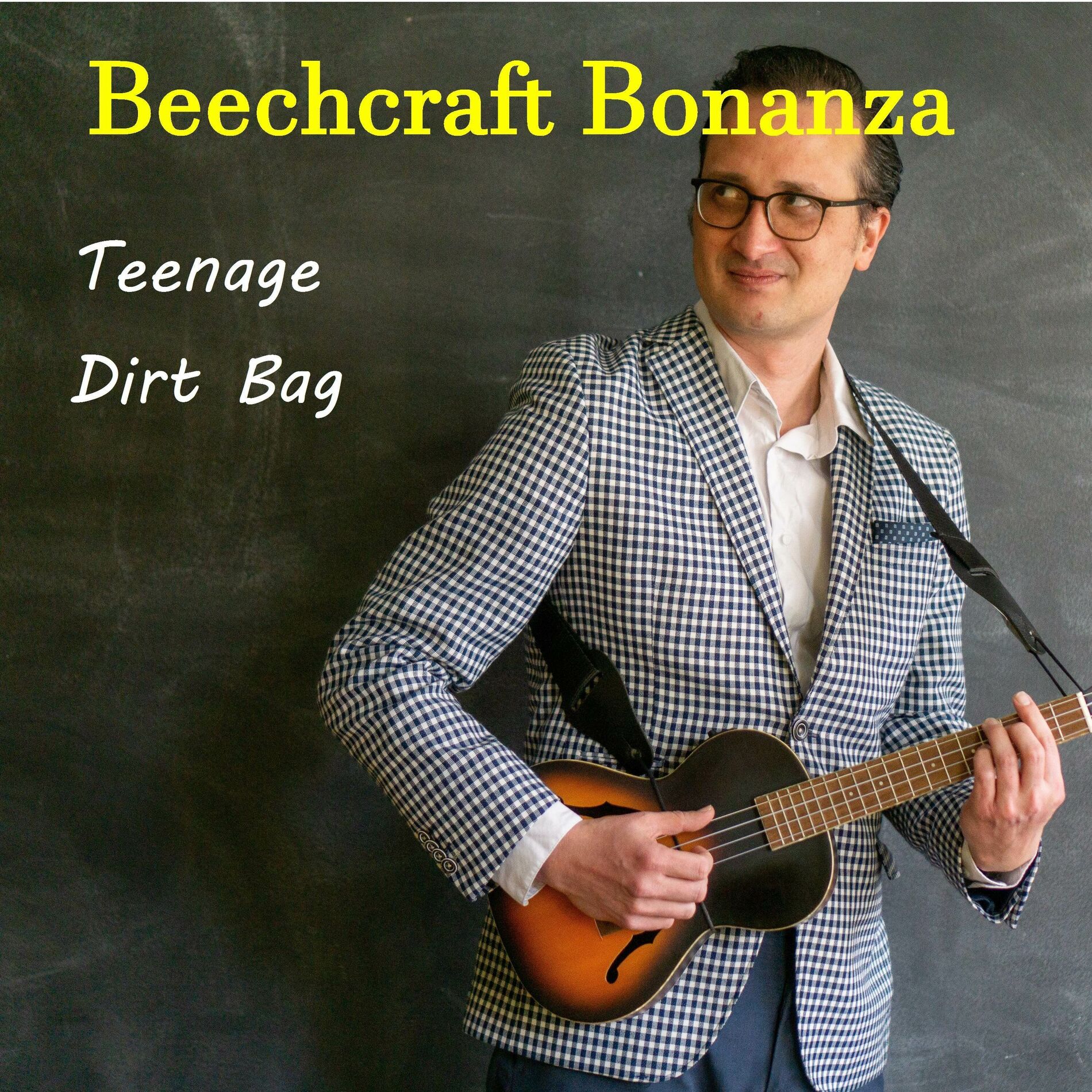 Album cover of Teenage Dirt Bag