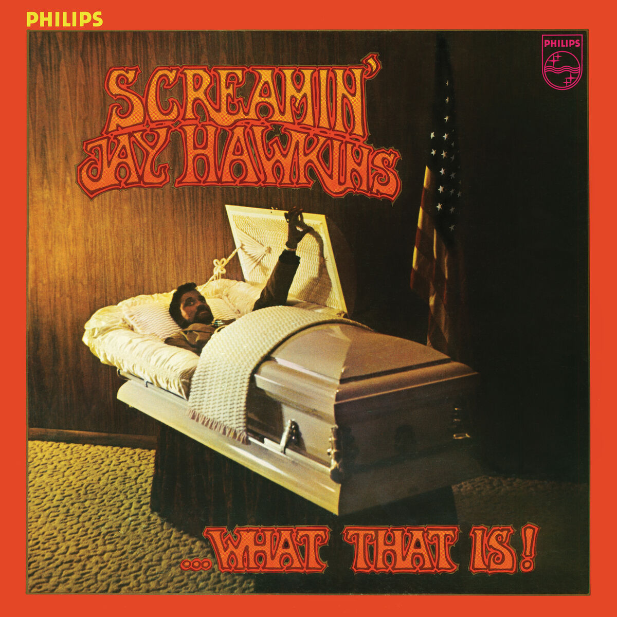Album cover of What That Is!