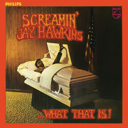Cover of What That Is!
