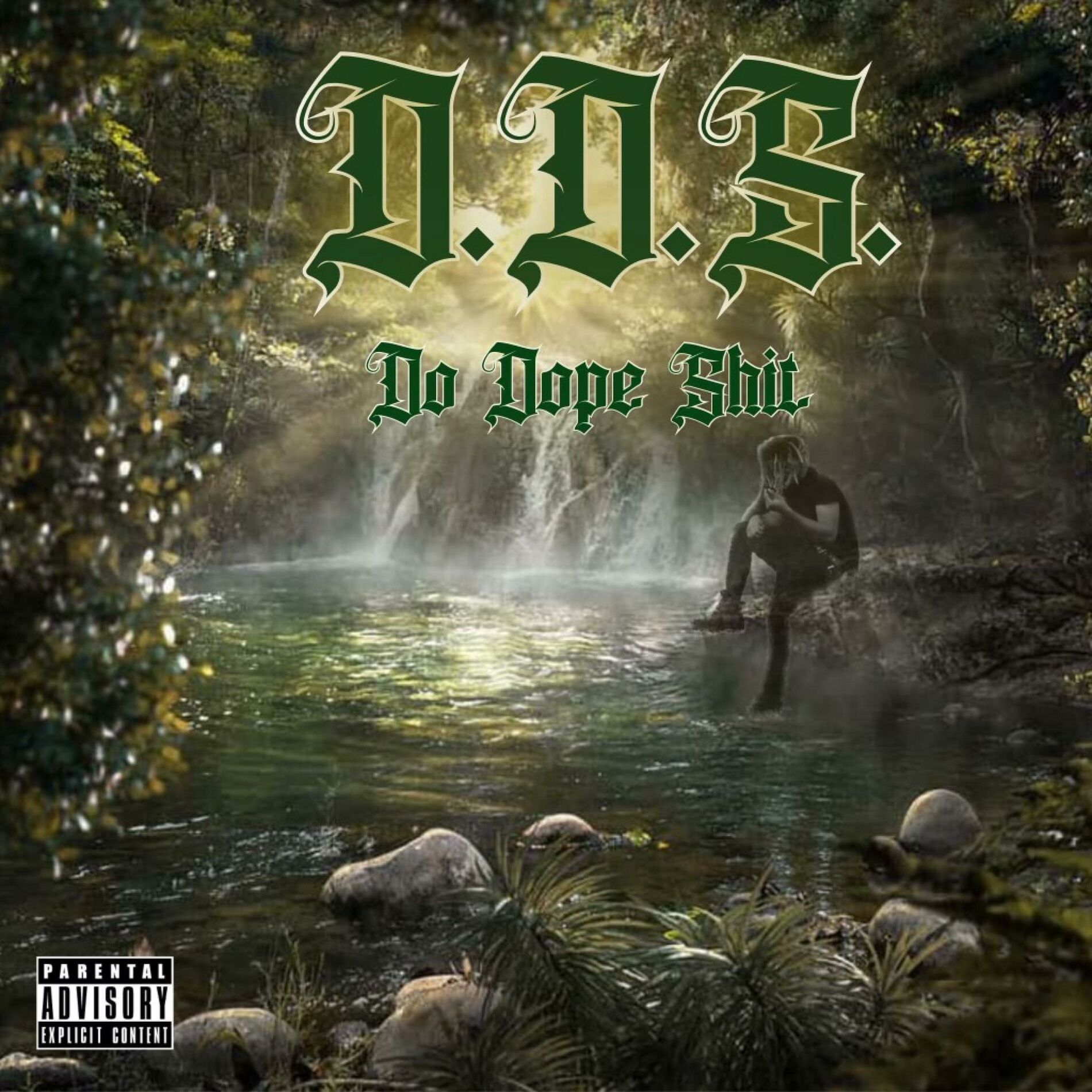 Album cover of D.D.S (do dope shit)