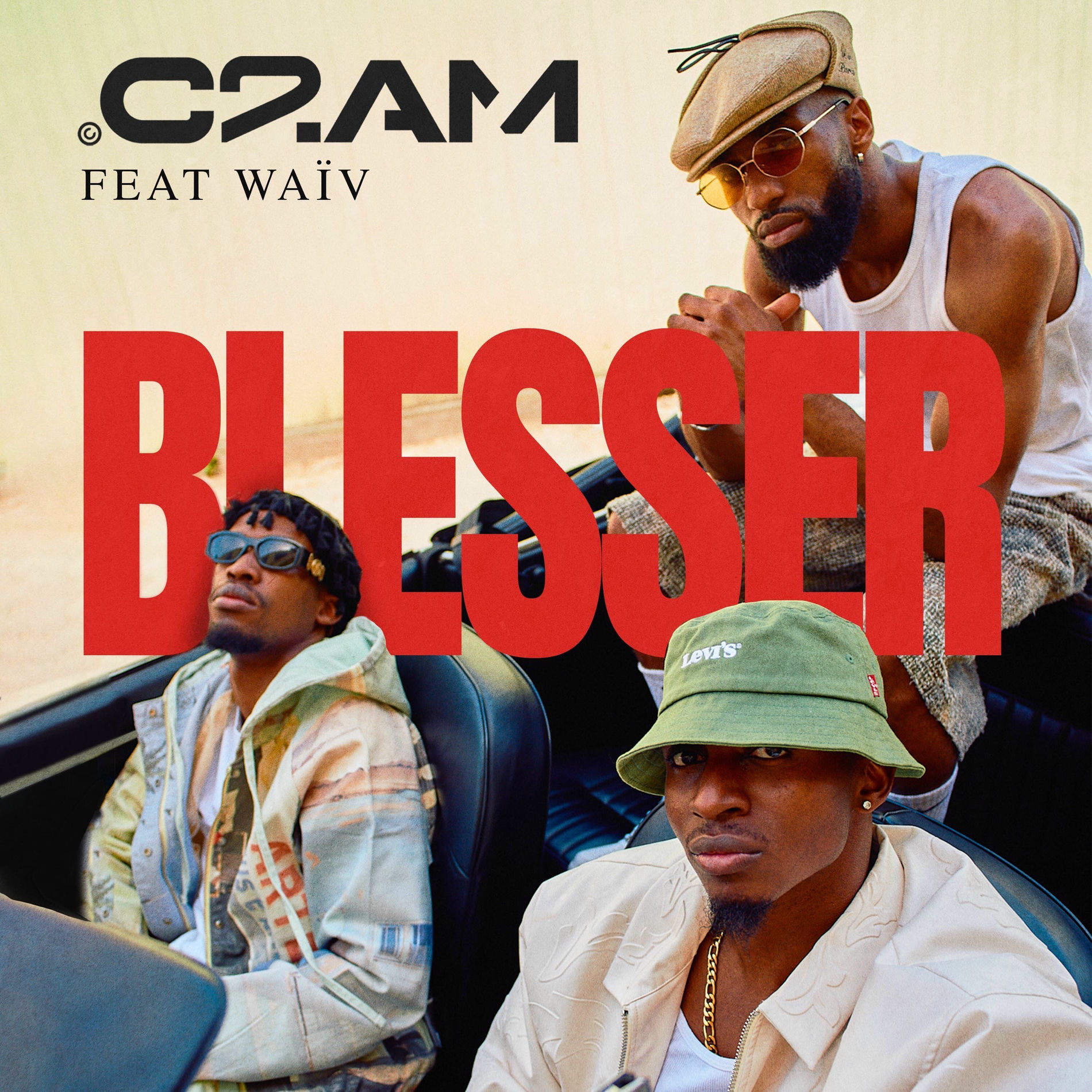 Album cover of Blesser