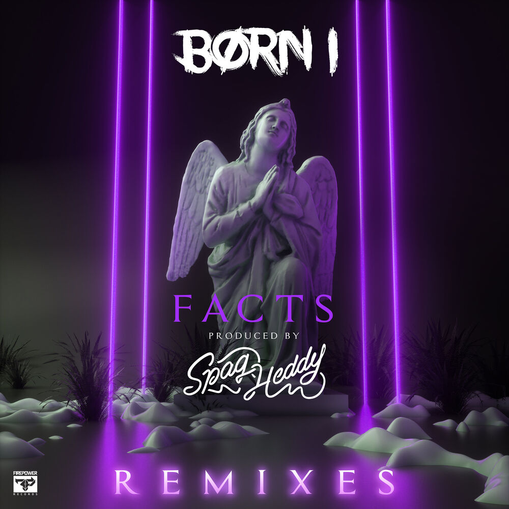 Picture of Facts (Remixes)