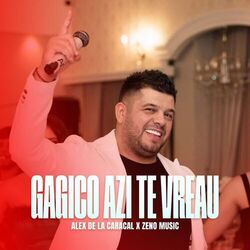 Cover of Gagico azi te vreau