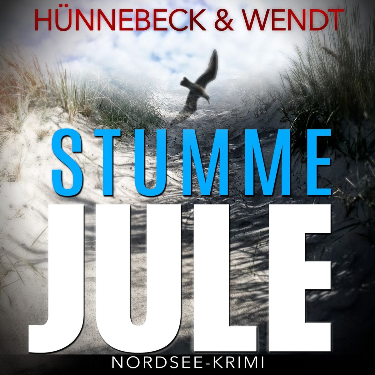 Album cover of Stumme Jule: Nordsee-Thriller - Jule und Leander, Band 1 (Ungekürzt)
