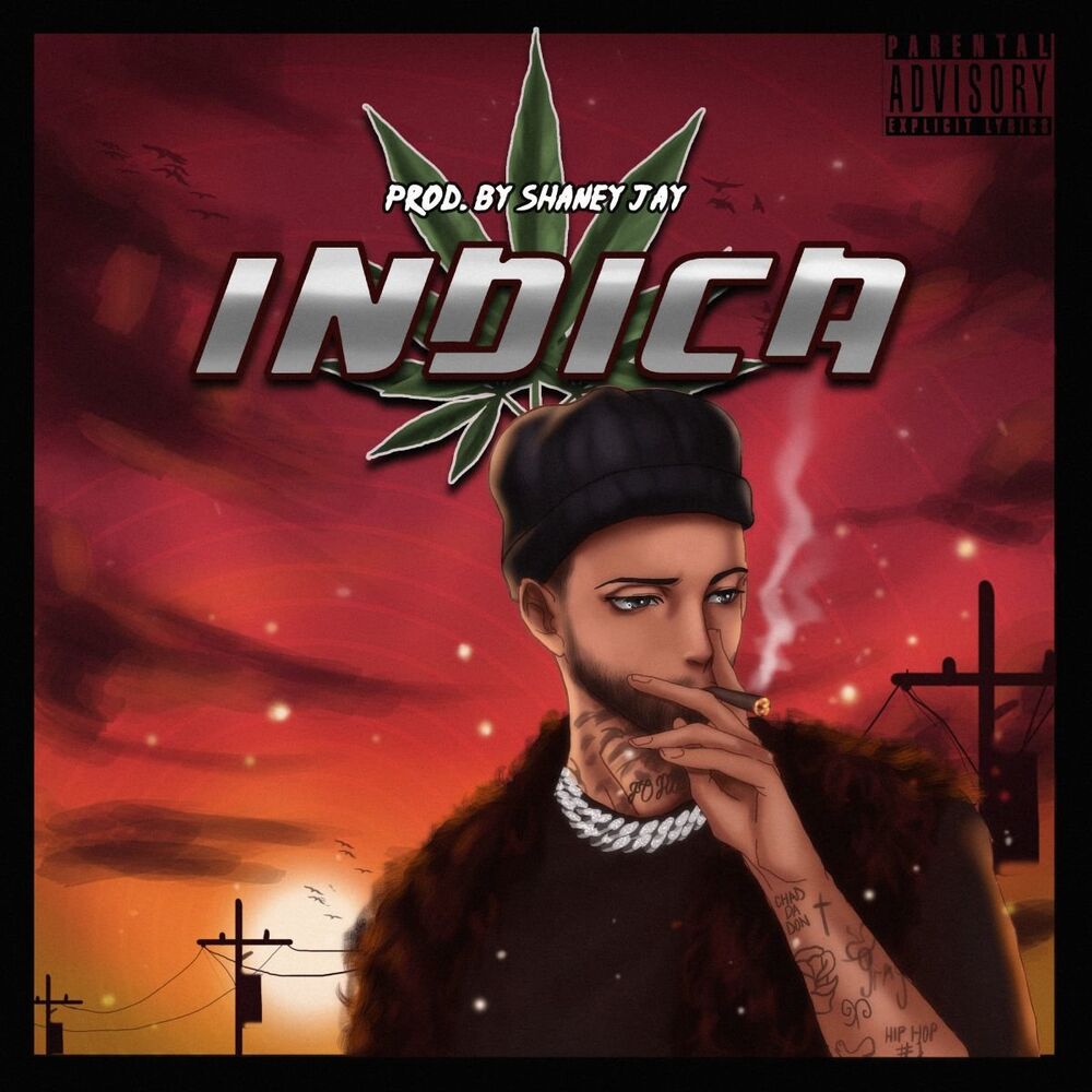 Picture of INDICA