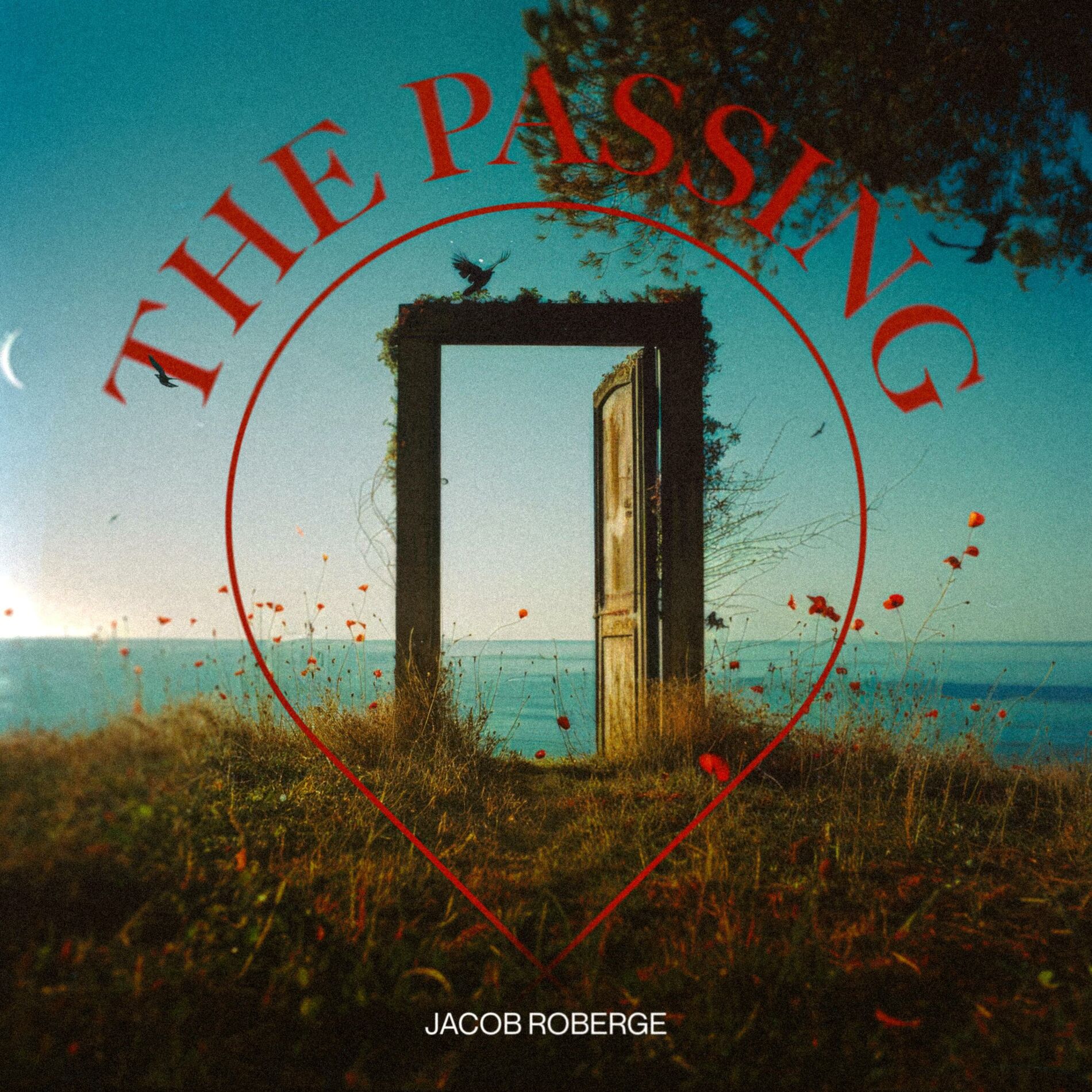 Album cover of Petrichor
