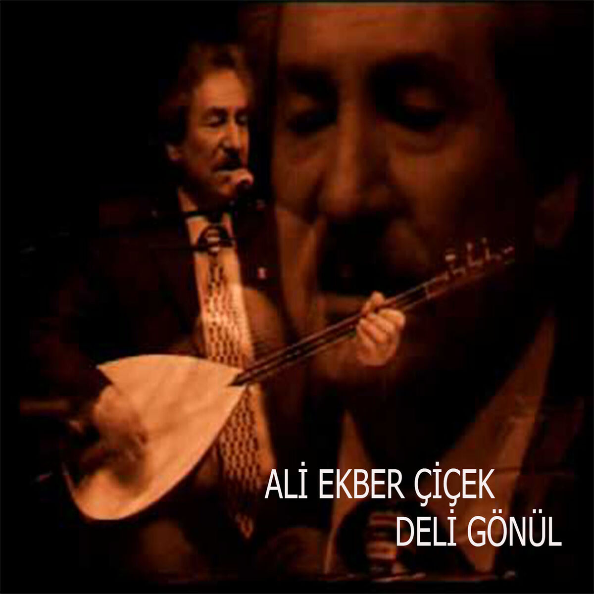 Album cover of Deli Gönül