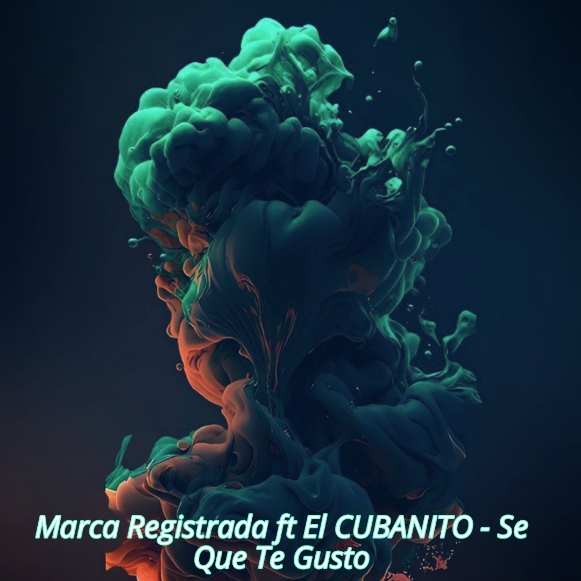Album cover of Se Que Te Gusto