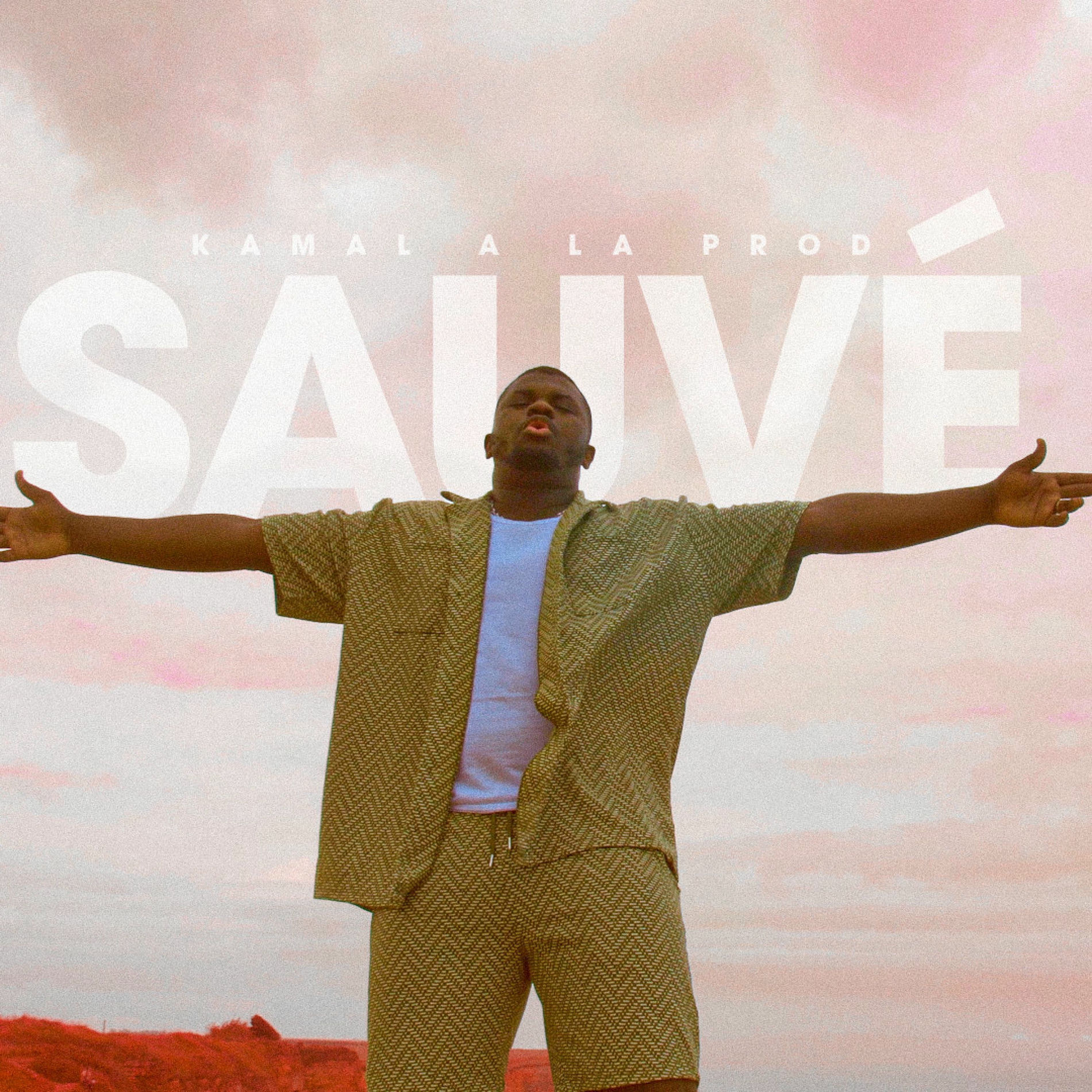 Album cover of Sauvé