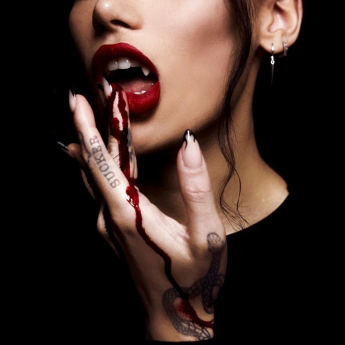 Album cover of Sucker
