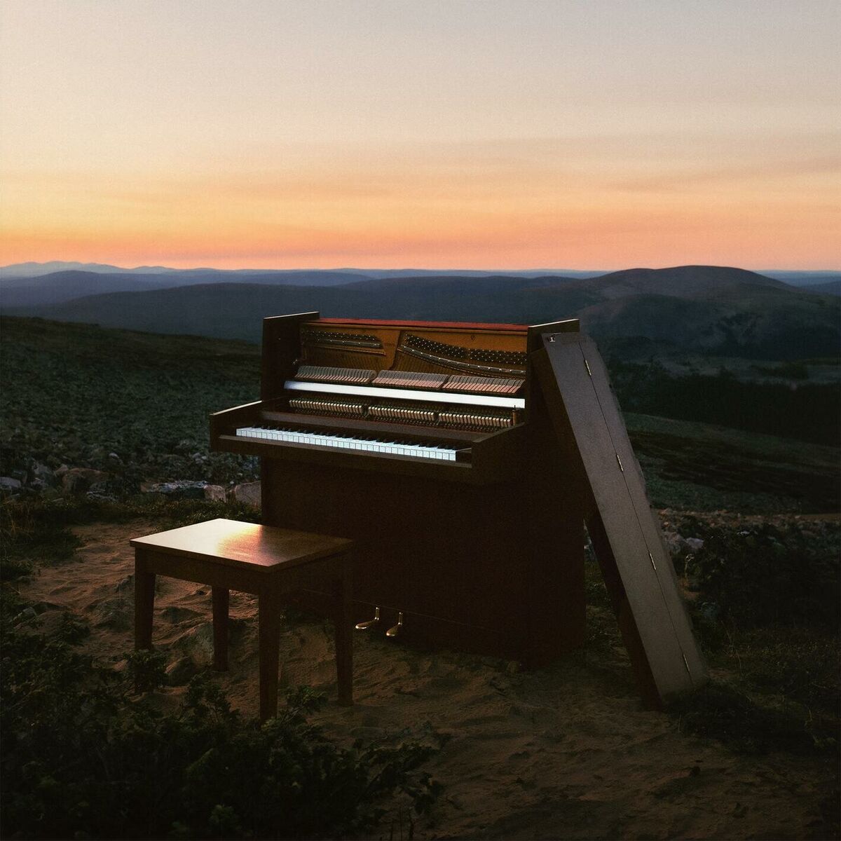 Album cover of Open Fields