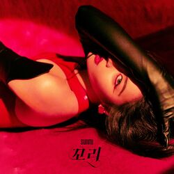Cover of TAIL