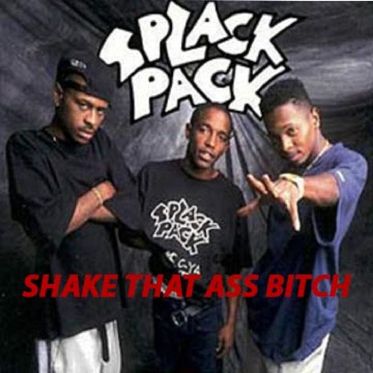 Album cover of Shake That Ass Bitch