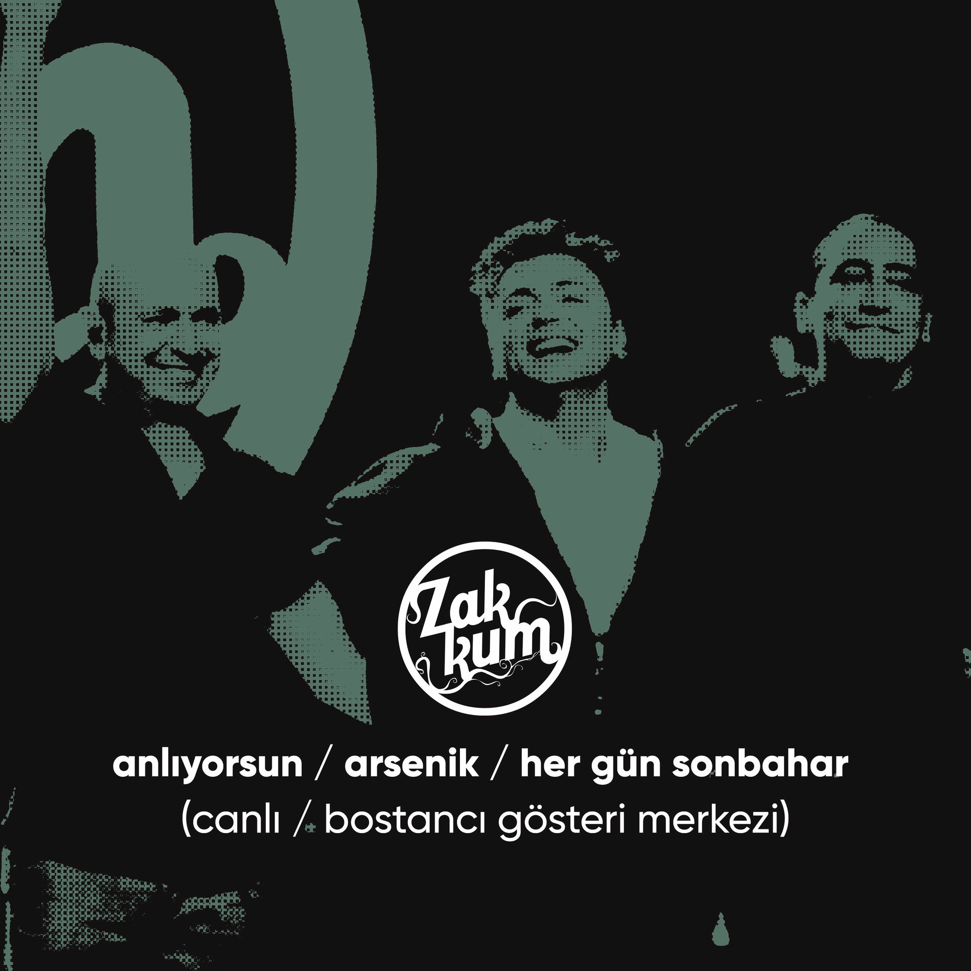 Album cover of Anlıyorsun / Arsenik / Her Gün Sonbahar