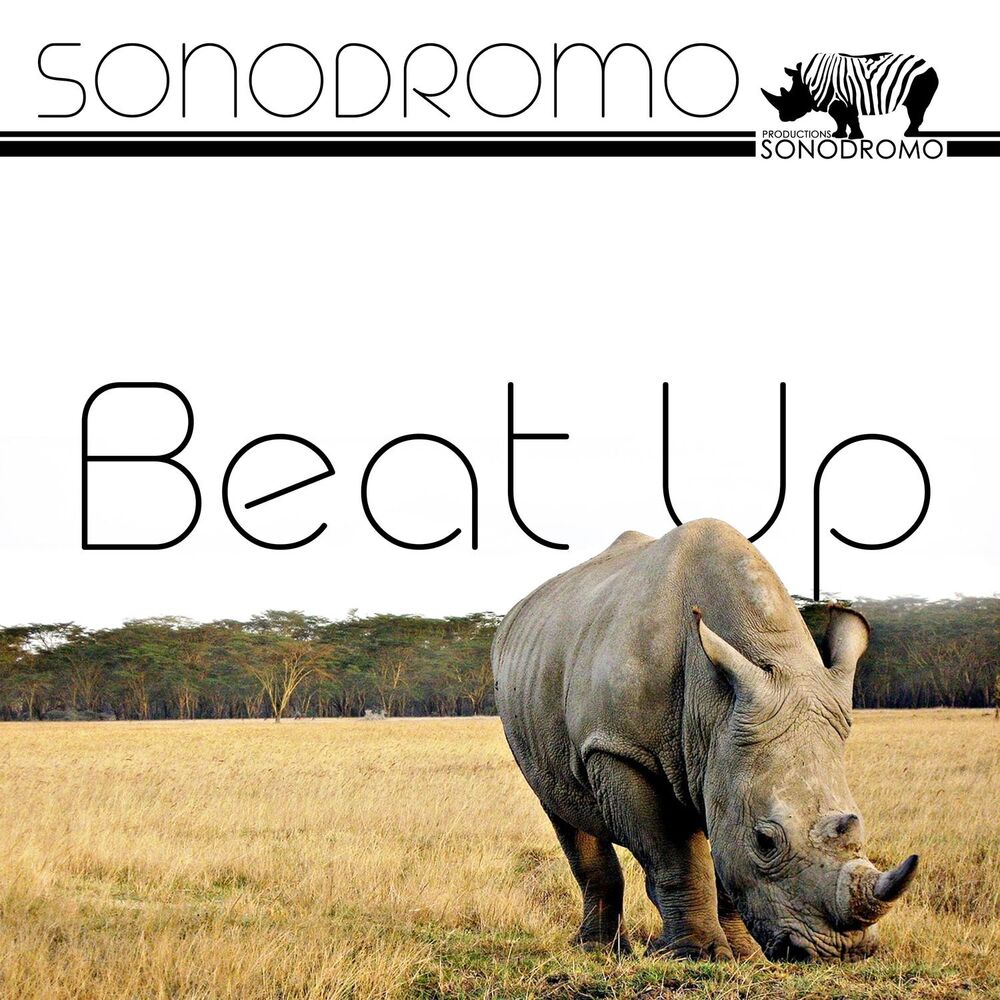 Picture of Beat up