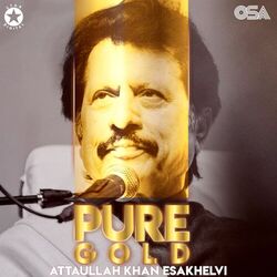 Cover of Pure Gold
