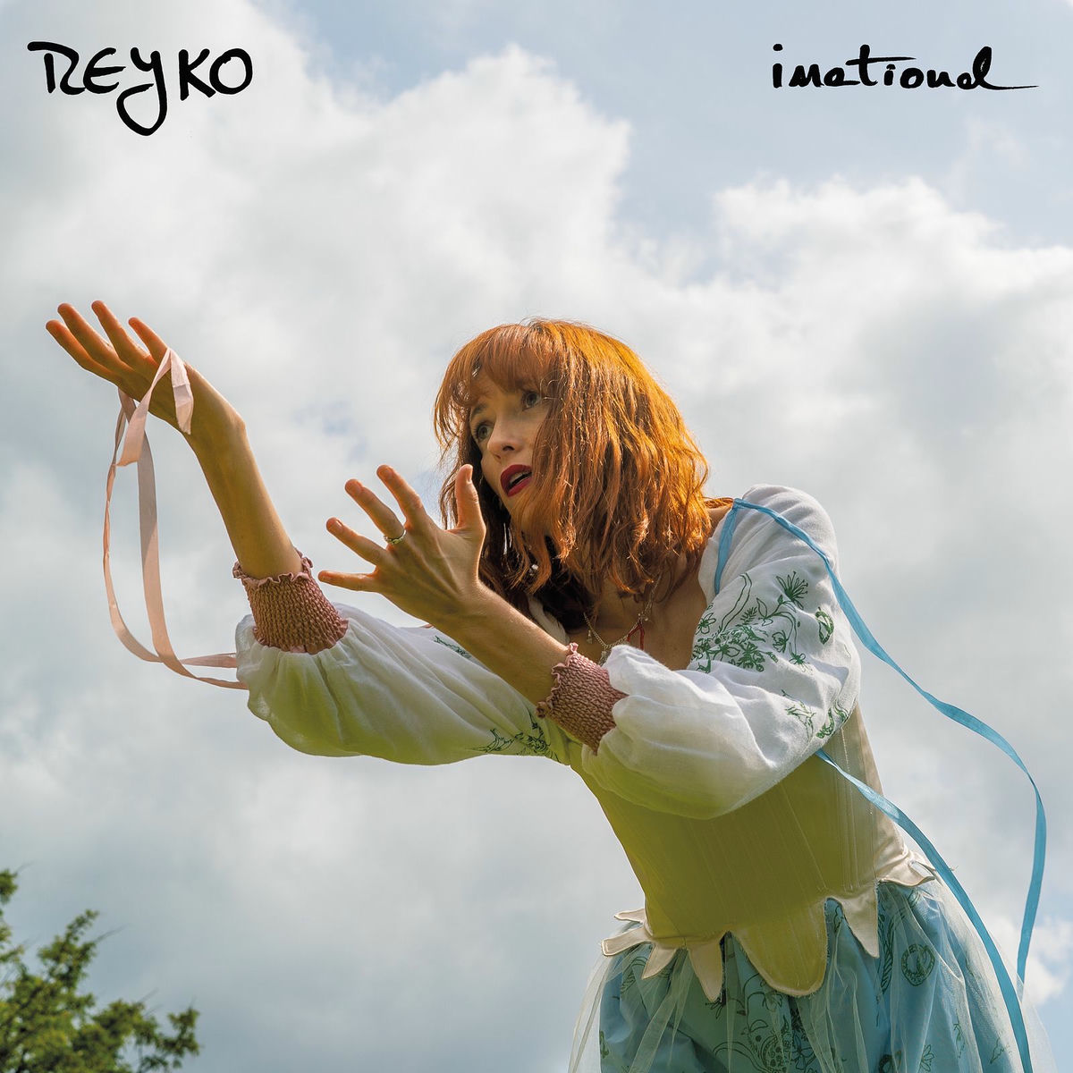 Album cover of Never Let Me Go