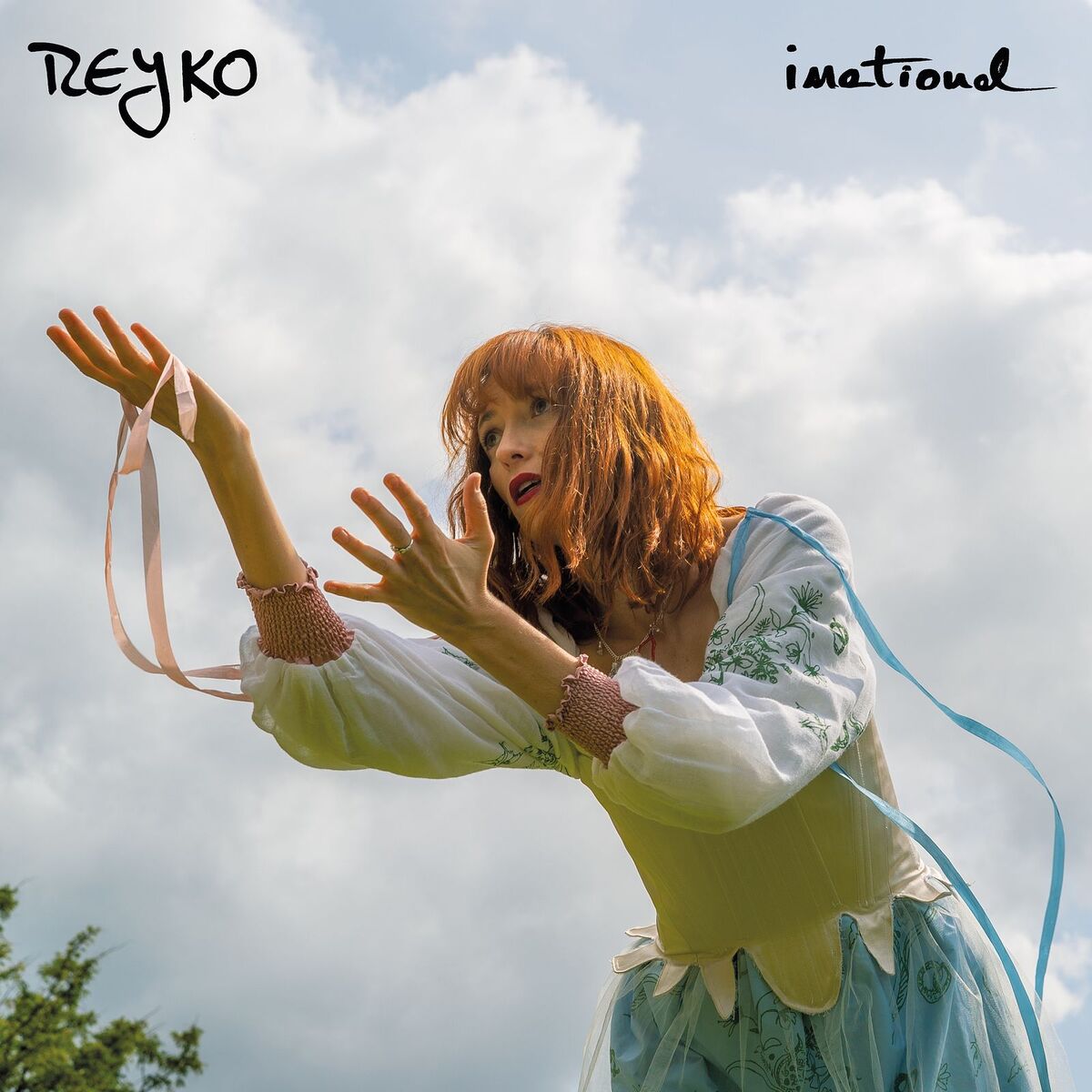 Album cover of Irrational