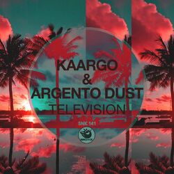 Cover of Television