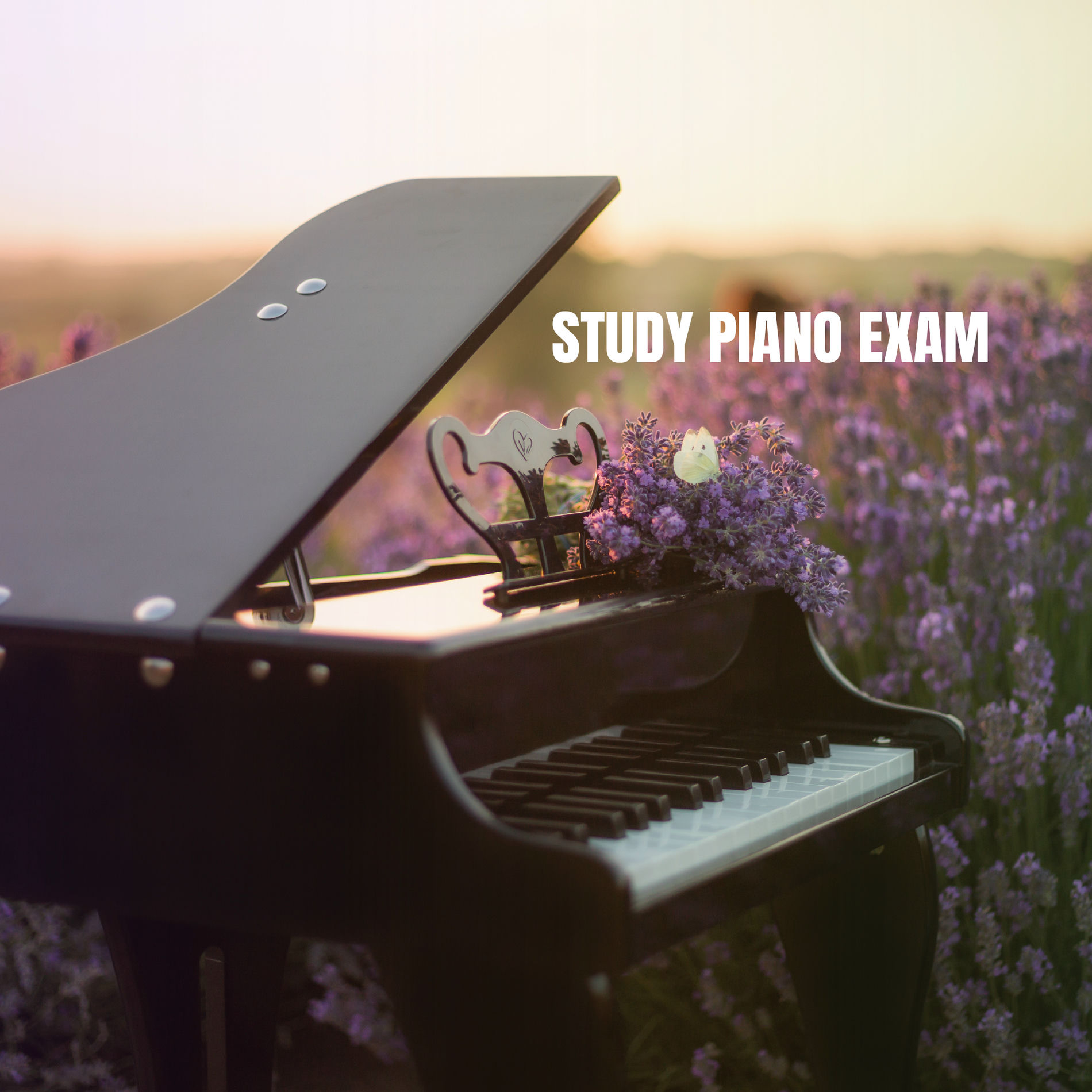Album cover of Study Piano Exam