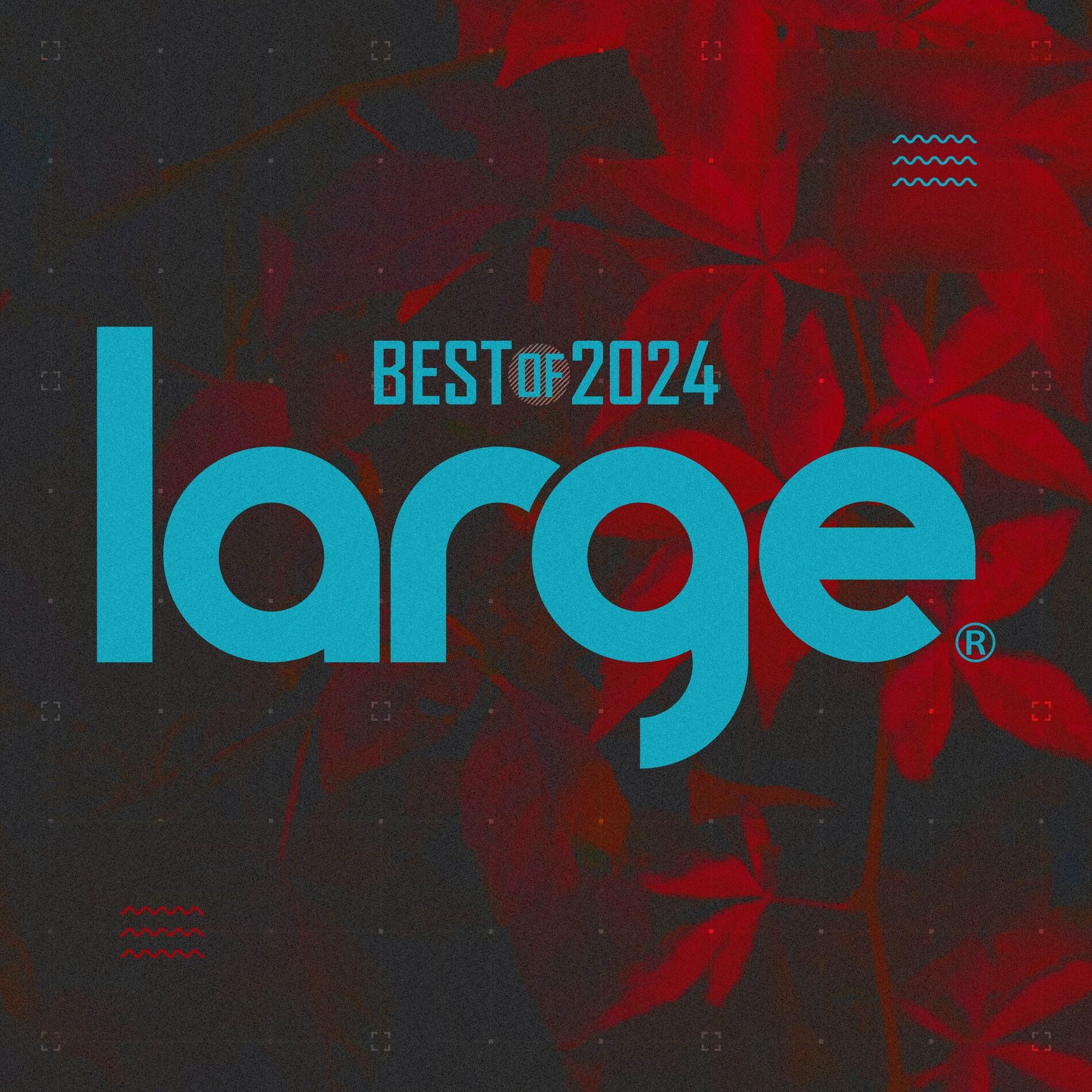 Album cover of Large Music Best of 2024