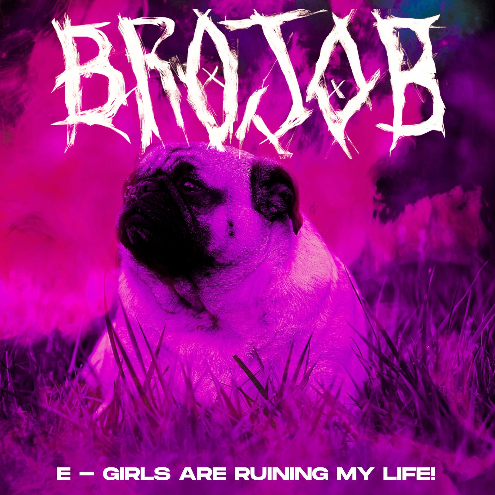Album cover of E-GIRLS ARE RUINING MY LIFE!