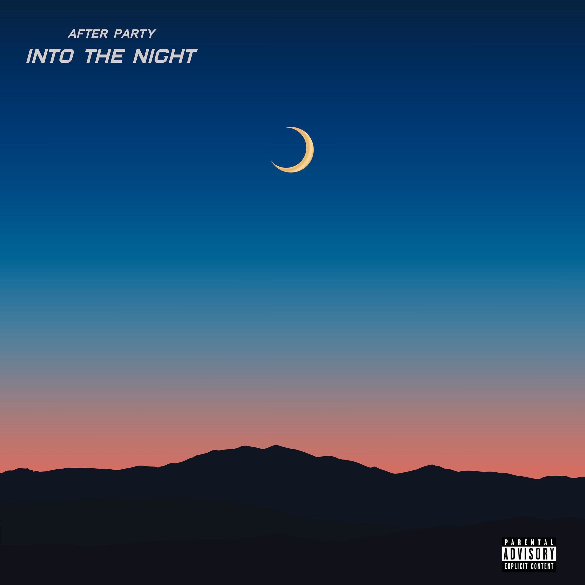 Album cover of Into The Night