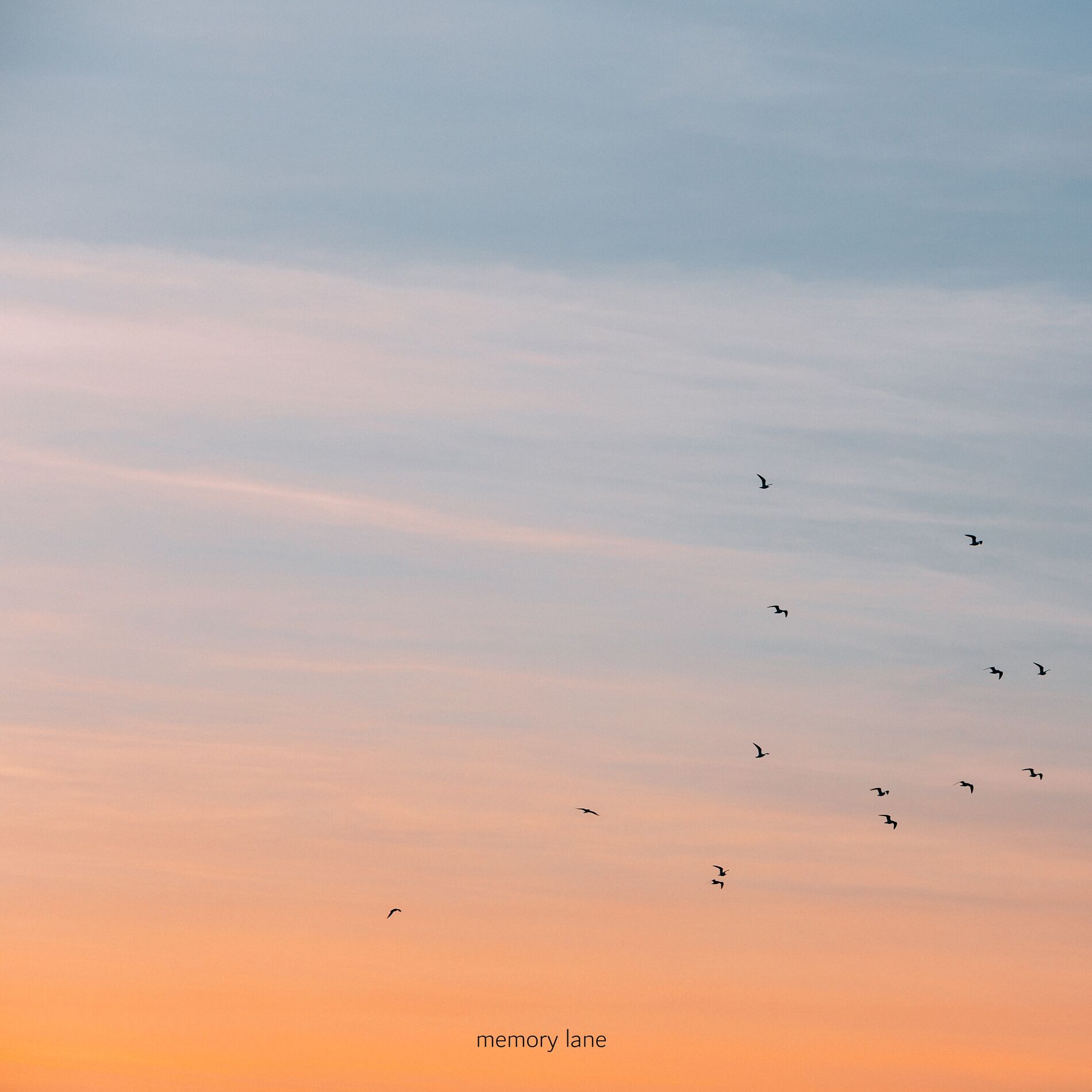 Album cover of memory lane