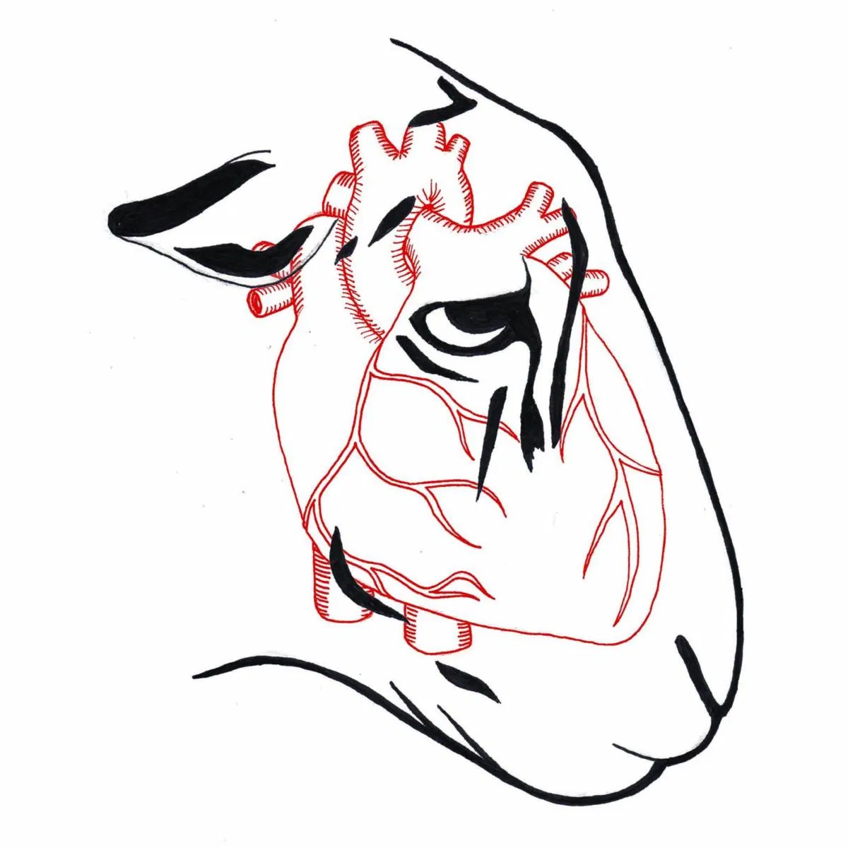 I'm Not Here to Make Friends, Roar