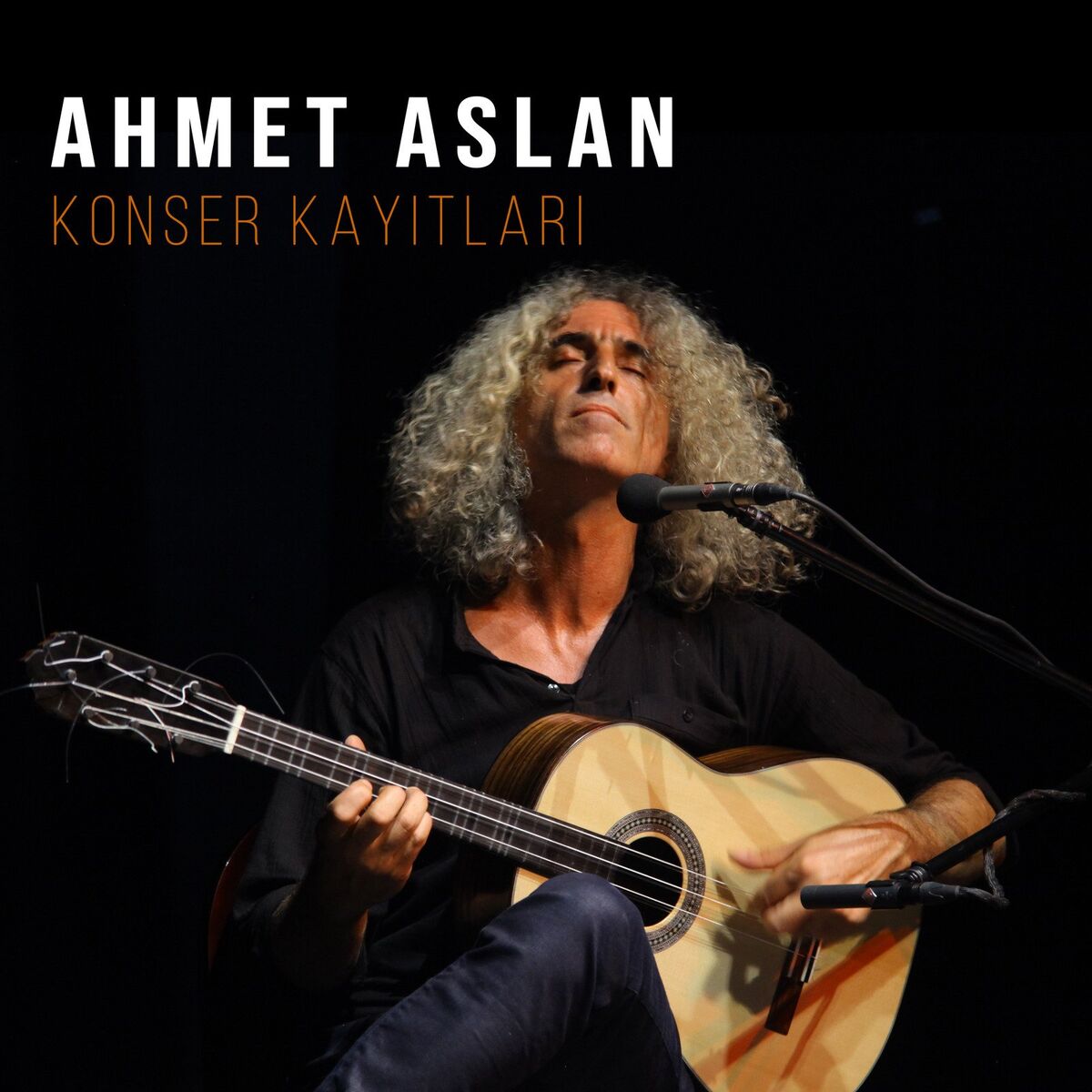 Album cover of Divane Gönlüm Benim