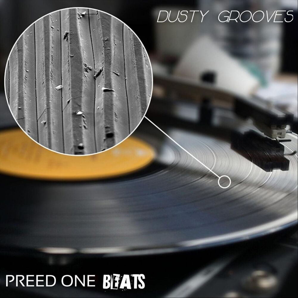 Picture of Dusty Grooves
