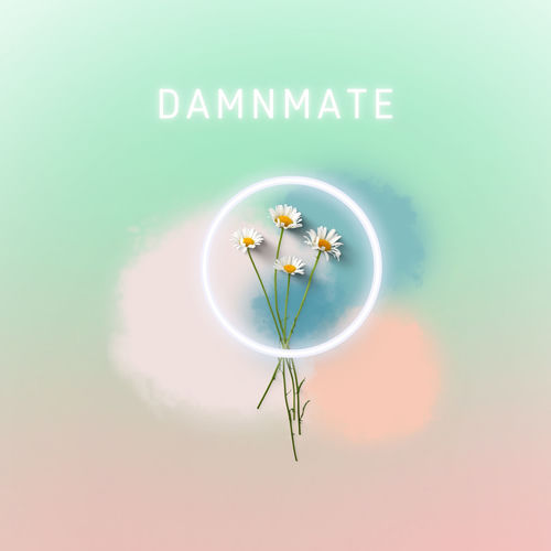 Damnmate