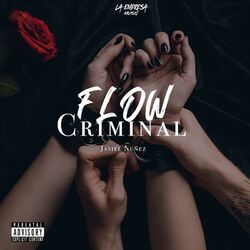 Cover of Flow Criminal